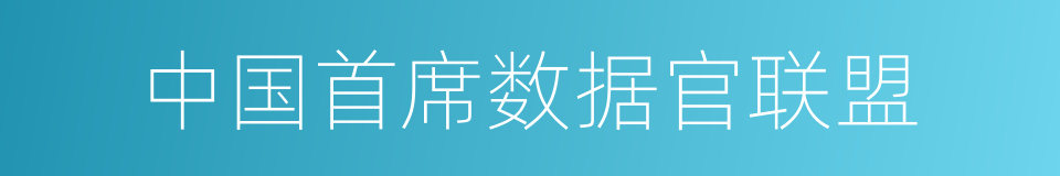 中国首席数据官联盟的同义词