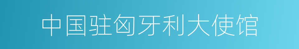 中国驻匈牙利大使馆的同义词