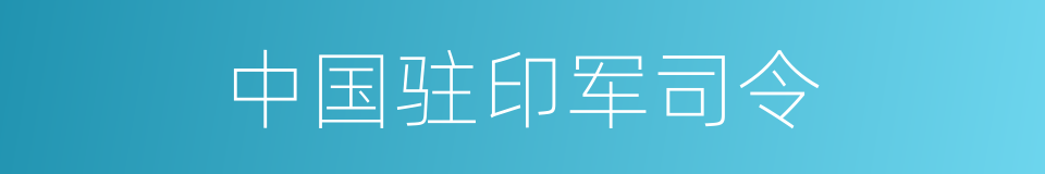 中国驻印军司令的同义词