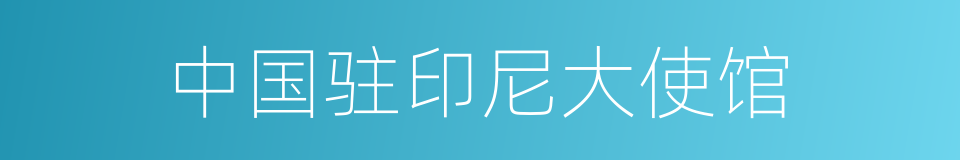中国驻印尼大使馆的同义词