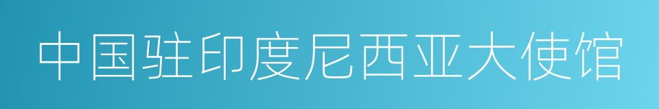 中国驻印度尼西亚大使馆的同义词