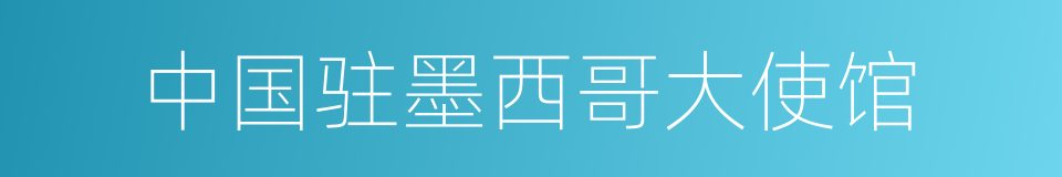 中国驻墨西哥大使馆的同义词