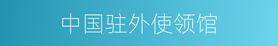 中国驻外使领馆的同义词