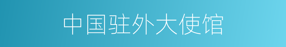 中国驻外大使馆的同义词