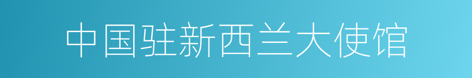 中国驻新西兰大使馆的同义词