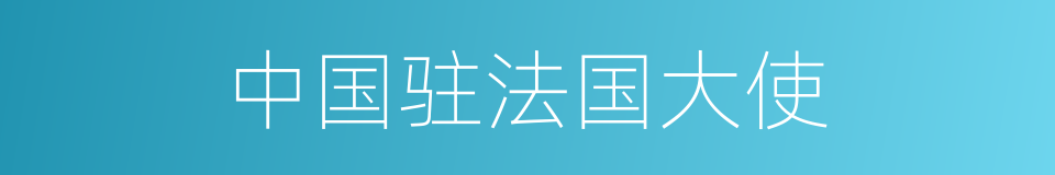 中国驻法国大使的同义词