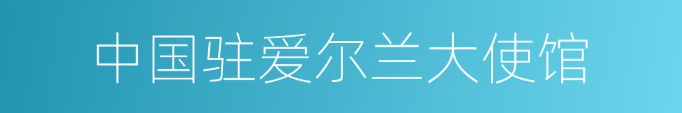 中国驻爱尔兰大使馆的同义词