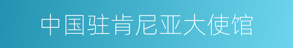 中国驻肯尼亚大使馆的同义词