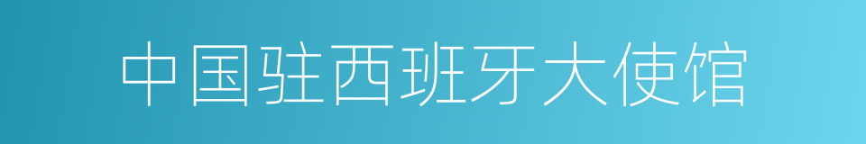中国驻西班牙大使馆的同义词