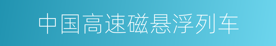 中国高速磁悬浮列车的同义词