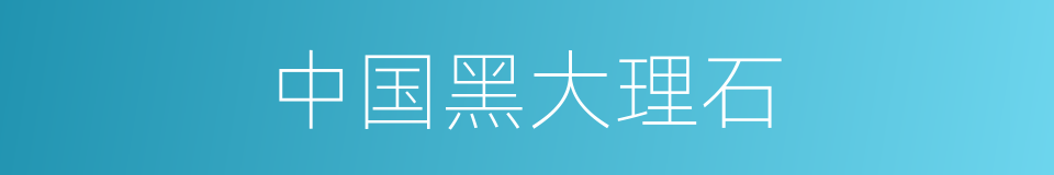 中国黑大理石的同义词