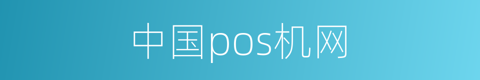 中国pos机网的同义词