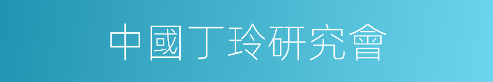 中國丁玲研究會的同義詞