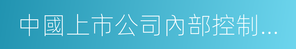 中國上市公司內部控制指數的同義詞