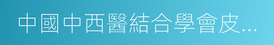 中國中西醫結合學會皮膚性病專業委員會的同義詞