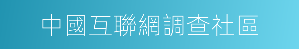 中國互聯網調查社區的同義詞