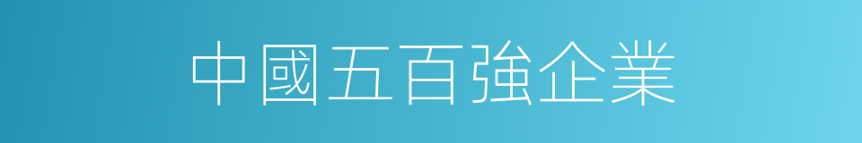 中國五百強企業的同義詞