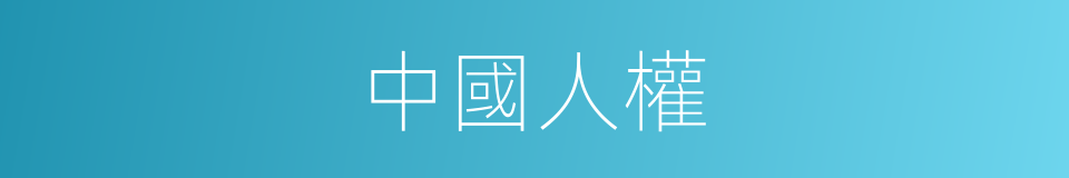 中國人權的同義詞