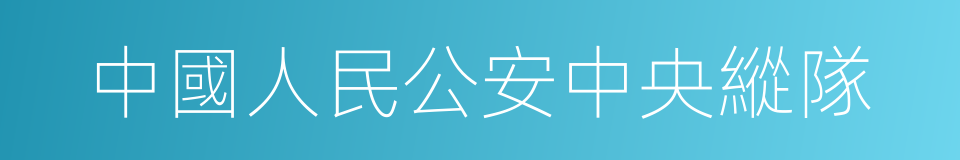 中國人民公安中央縱隊的同義詞