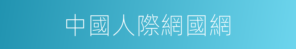 中國人際網國網的同義詞