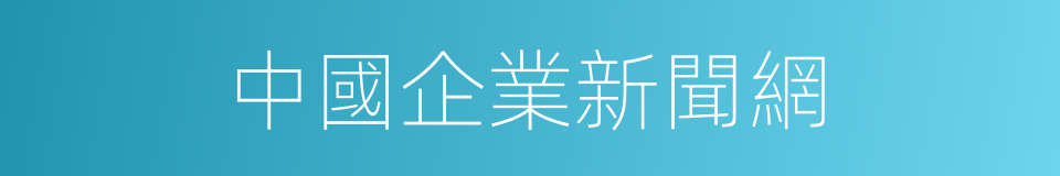 中國企業新聞網的同義詞