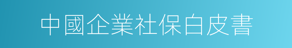 中國企業社保白皮書的同義詞