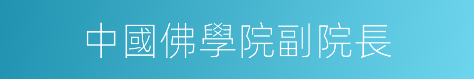 中國佛學院副院長的同義詞