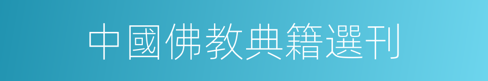 中國佛教典籍選刊的同義詞