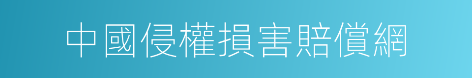 中國侵權損害賠償網的同義詞