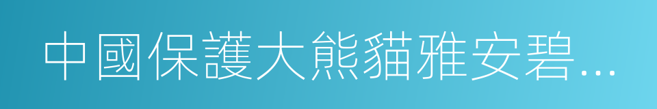 中國保護大熊貓雅安碧峰峽研究基地的同義詞