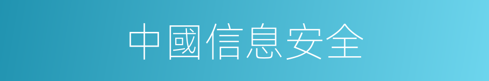 中國信息安全的同義詞