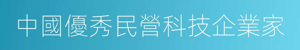 中國優秀民營科技企業家的同義詞