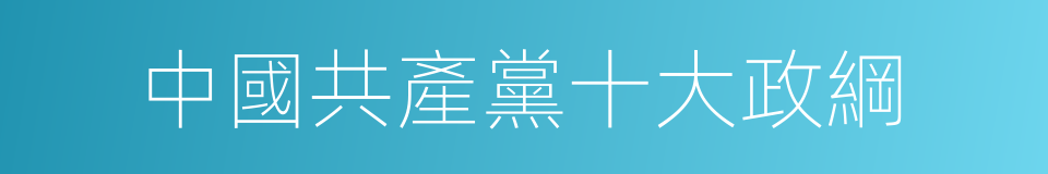 中國共產黨十大政綱的同義詞