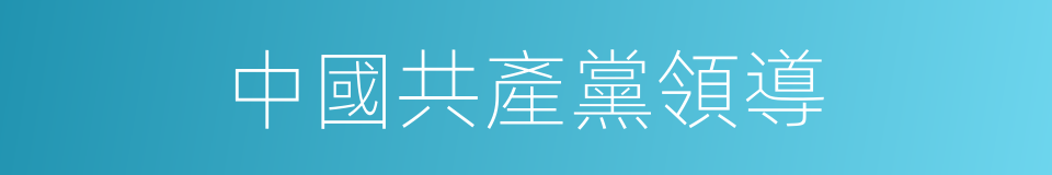中國共產黨領導的同義詞