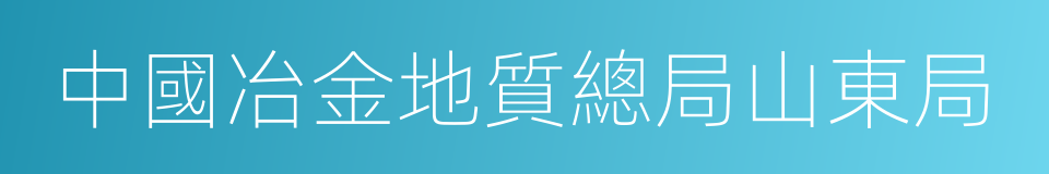 中國冶金地質總局山東局的同義詞