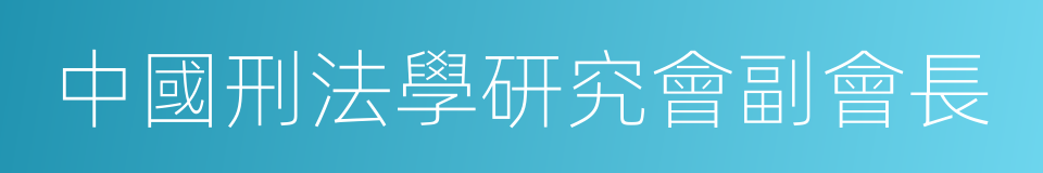 中國刑法學研究會副會長的同義詞