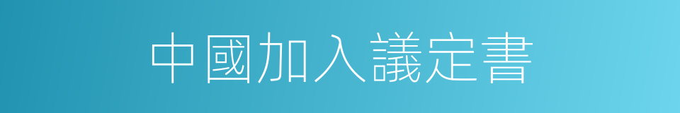 中國加入議定書的同義詞