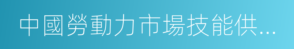 中國勞動力市場技能供需研究的同義詞