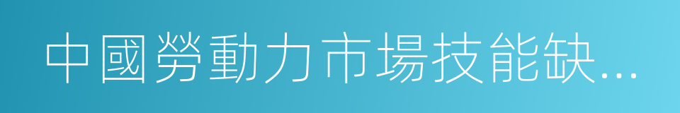 中國勞動力市場技能缺口研究的同義詞