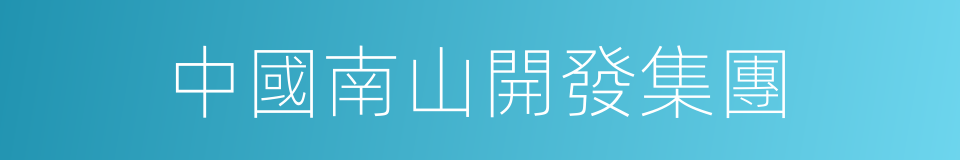 中國南山開發集團的同義詞