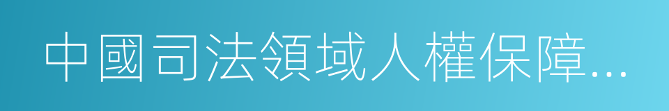 中國司法領域人權保障的新進展的同義詞