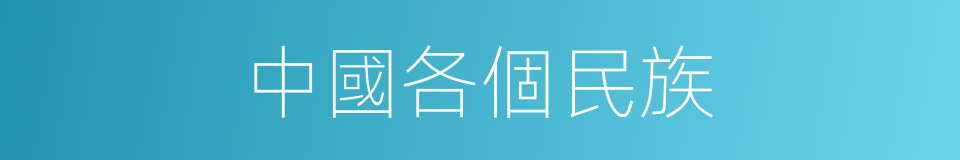 中國各個民族的同義詞