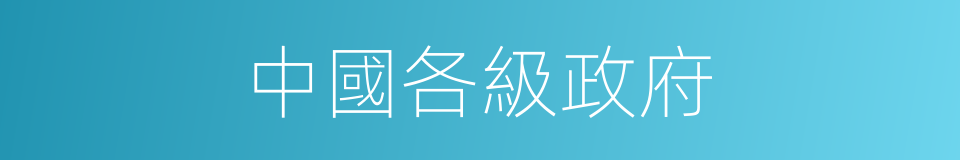 中國各級政府的同義詞