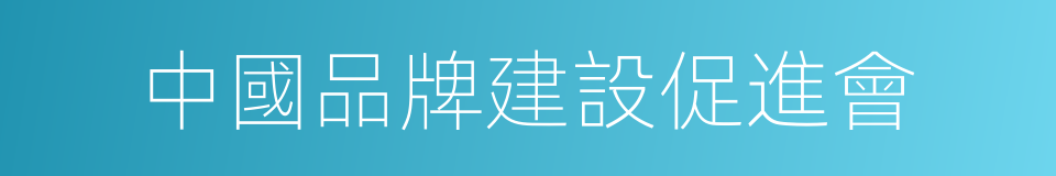 中國品牌建設促進會的同義詞