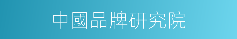 中國品牌研究院的同義詞