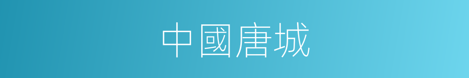 中國唐城的同義詞