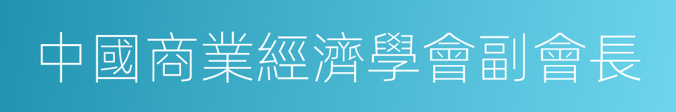 中國商業經濟學會副會長的同義詞