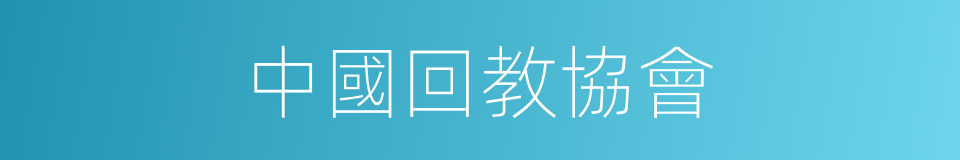 中國回教協會的同義詞