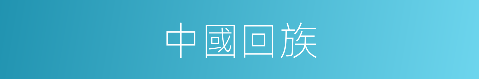 中國回族的同義詞