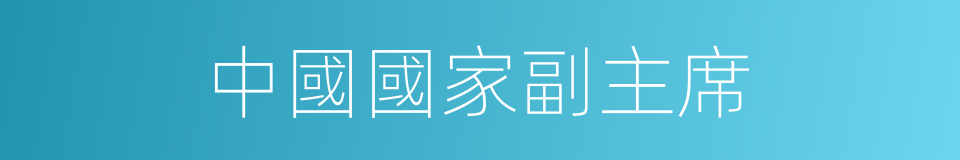 中國國家副主席的同義詞